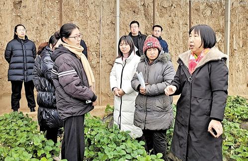 1月17日上午，国家特菜体系草莓试验站站长李青云（右一）为临城县胶泥村村民讲解草莓病虫害防治技术。 河北日报通讯员 卢 煜摄