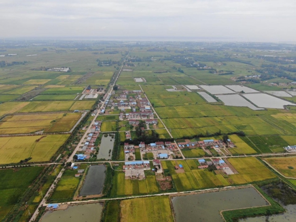 刘岗村航拍全景。淮安烟草供图