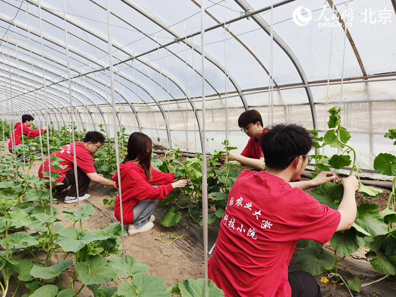 IMG20250521151525_副本