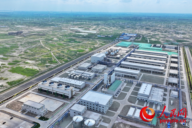 7月26日，吉林大安风光制绿氢合成氨一体化示范项目正式投产。人民网记者 李洋摄