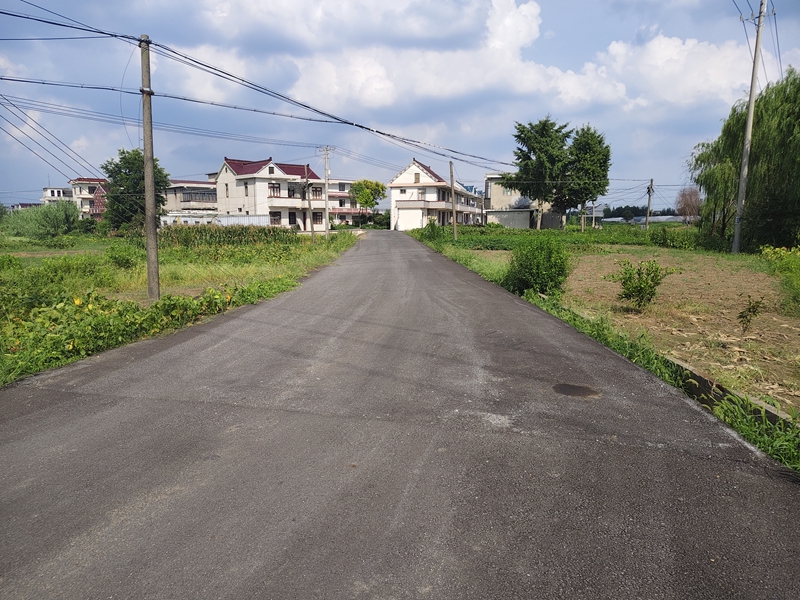 坨墩村新修的沥青路。